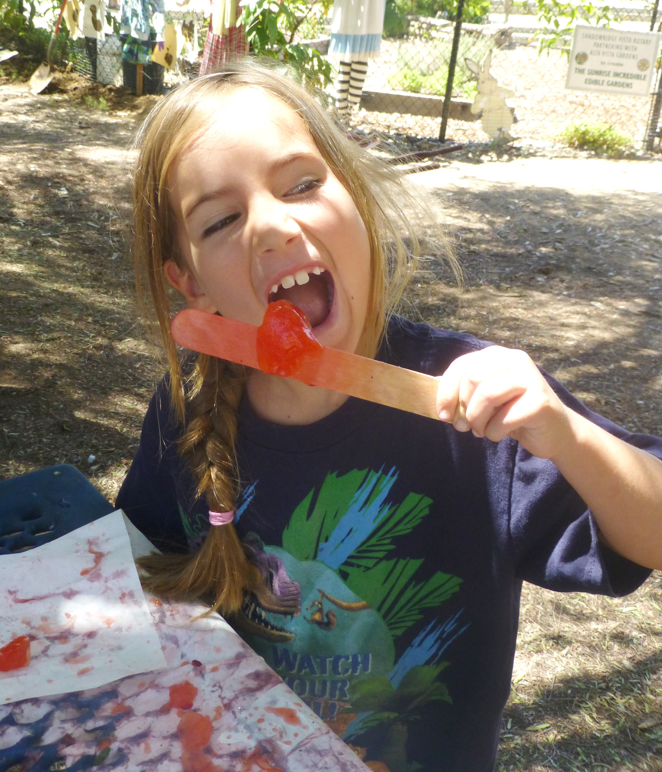 1 219 Amelia samples the ice popsicles